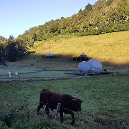 Hotel-restaurant Du Val Joli 3* لو فالتين