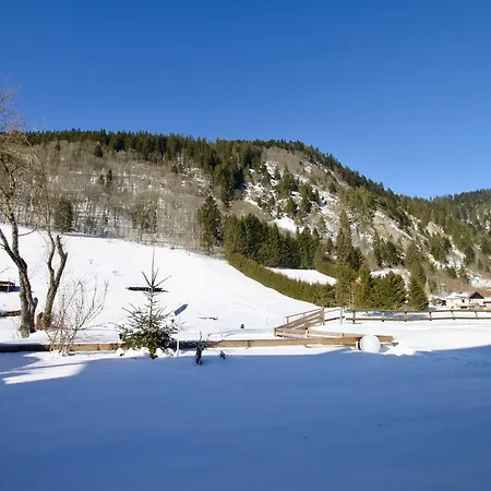 Hotel Hotel-Restaurant Du Val Joli Le Valtin