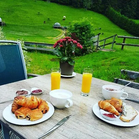 Hotel-restaurant Du Val Joli لو فالتين