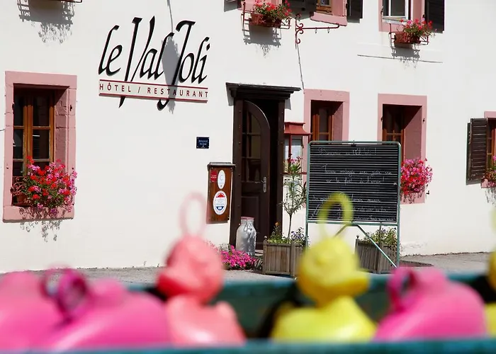 酒店 Hotel-restaurant Du Val Joli