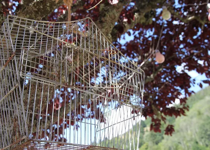 Hotel-restaurant Du Val Joli