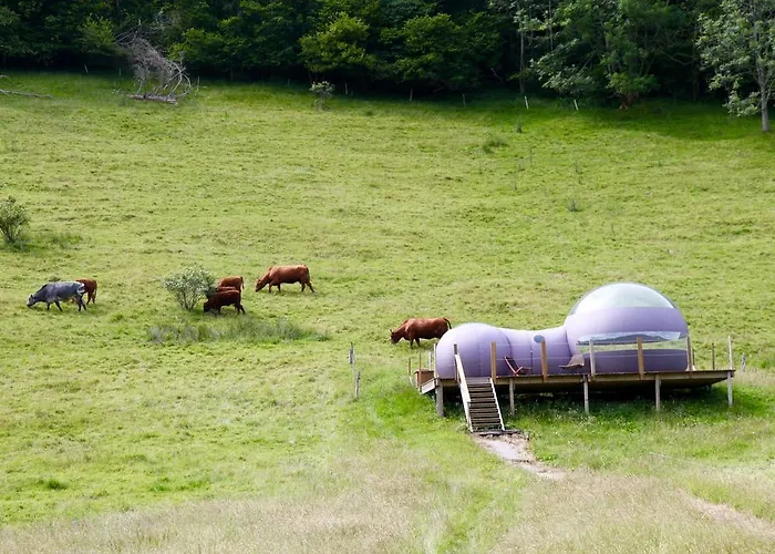 Hotel-restaurant Du Val Joli 勒瓦伦丁