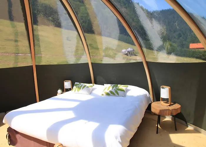 酒店 Hotel-restaurant Du Val Joli