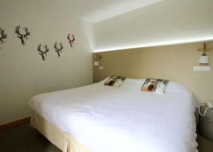 酒店 Hotel-restaurant Du Val Joli