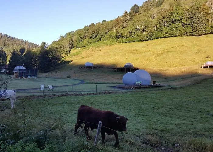 Hotel-restaurant Du Val Joli 3* 勒瓦伦丁