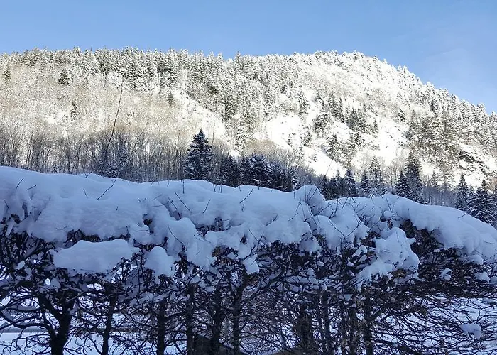 Hôtel-restaurant Du Val Joli Hotel Le Valtin