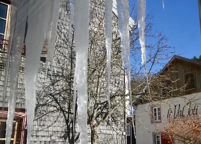 酒店 Hotel-restaurant Du Val Joli