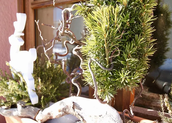 Hotel-restaurant Du Val Joli 酒店 勒瓦伦丁