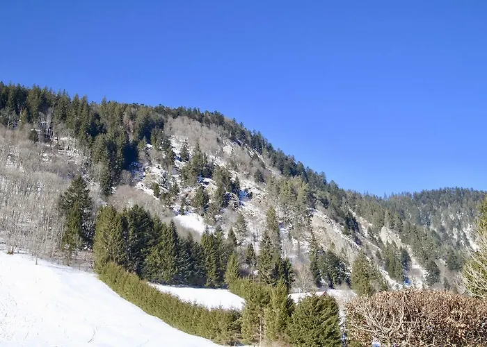 Hotel-restaurant Du Val Joli 酒店