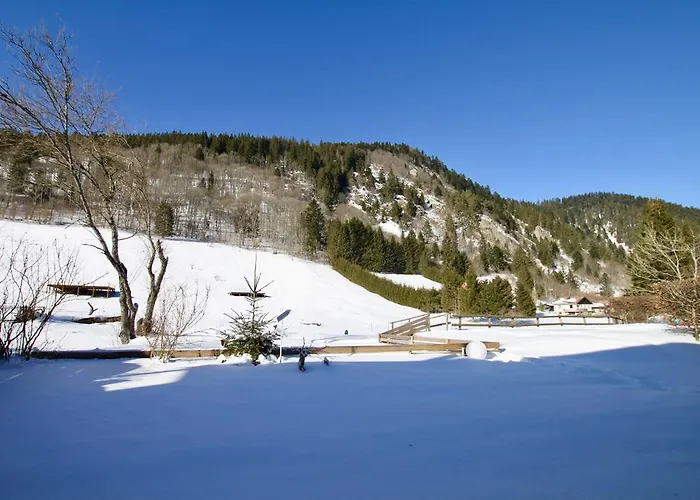 酒店 Hotel-restaurant Du Val Joli 勒瓦伦丁